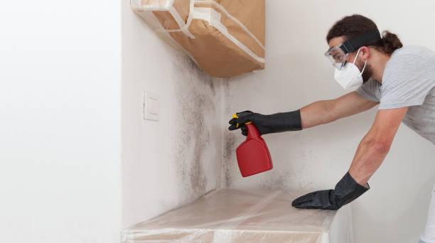 Professional Bathroom Mold Removal technician working in Dauphin, PA